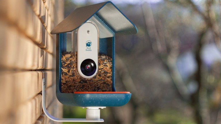 Bird Buddy Smart Bird Feeder with AI Bird Species Identification on Gadget Flow