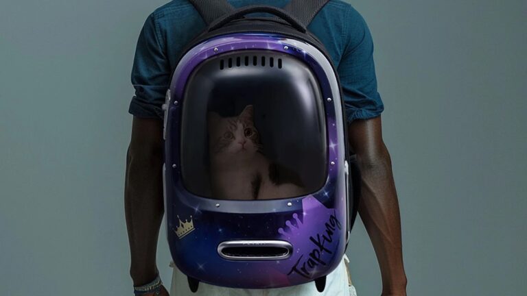 Breezy 2: Special Edition Smart Cat Carrier by PETKIT x Sterling TrapKing Davis on Gadget Flow