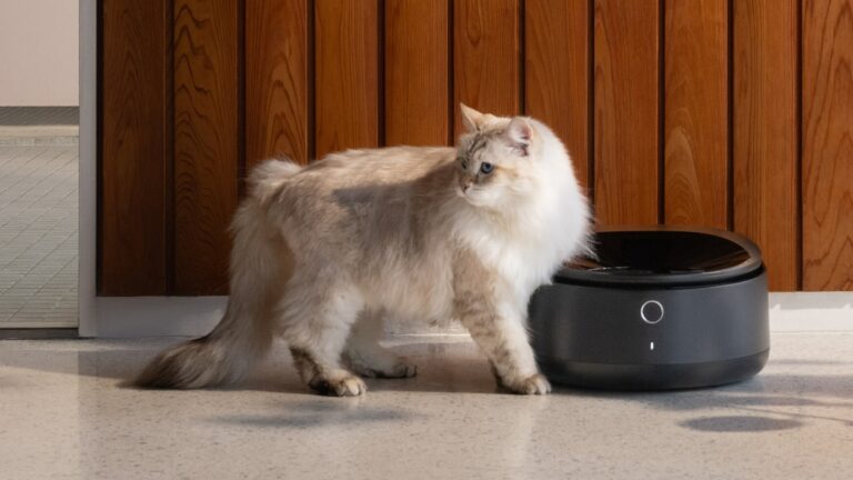 Petlibro Polar Wet Food Feeder with Smart App Control and PawShield on Gadget Flow